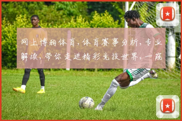 网上博狗体育,体育赛事分析,专业解读,带你走进精彩竞技世界,一窥门道。